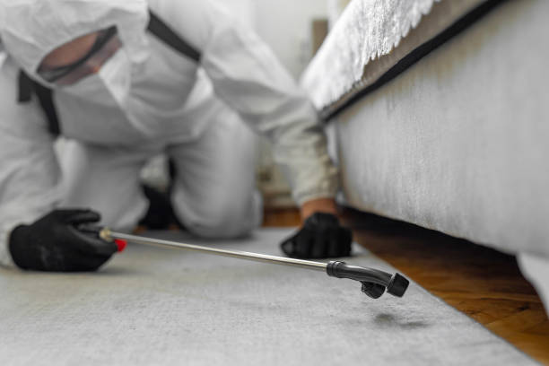 Professional Bed Bug Control technician working in Chatham County County, GA